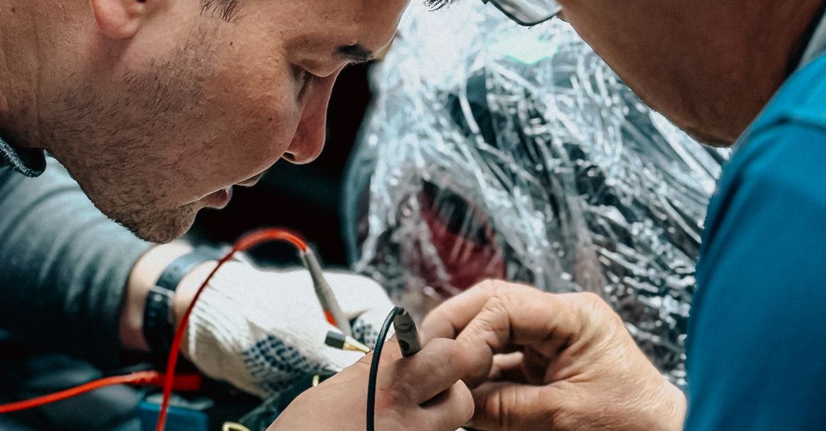 Variations in Licensing Requirements Across Australian States for Auto Electricians